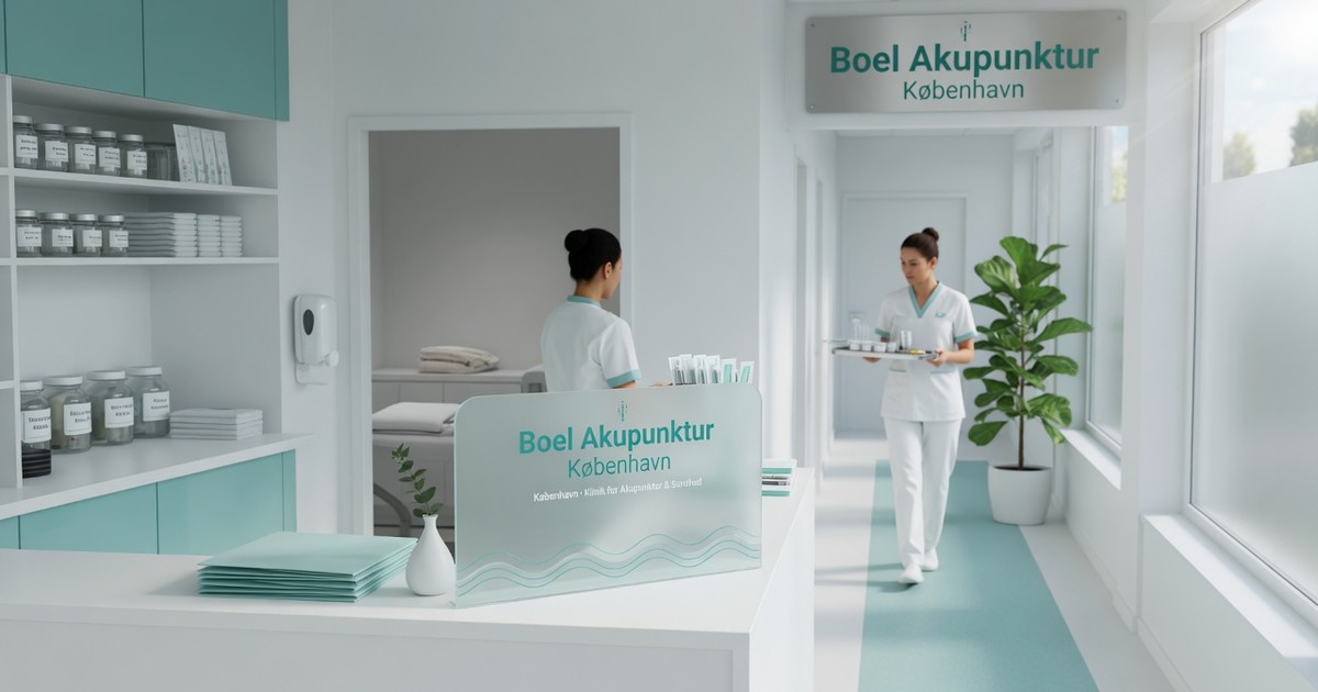 akupunktur mod hjerneskade rehabilitering — Boel Akupunktur København
